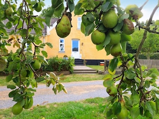 Holiday house Søby  27