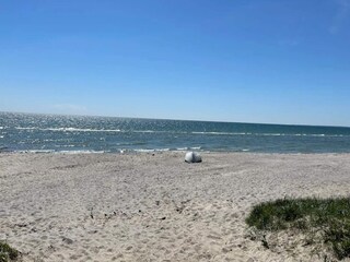 Casa per le vacanze Vaeggerløse  50