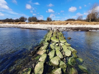 Maison de vacances Vaeggerløse  26