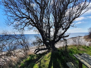 Vakantiehuis Vaeggerløse  27