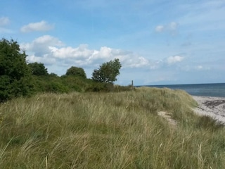 Maison de vacances Vaeggerløse  31