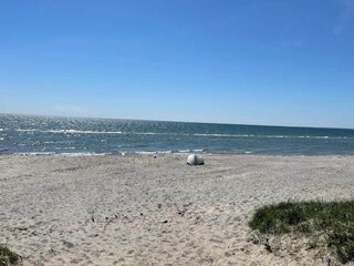 Casa per le vacanze Vaeggerløse  40