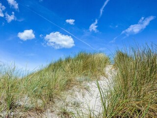 Ferienhaus Aalbæk  30