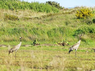 Holiday house Hulsig  28