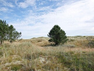 Casa per le vacanze Aalbæk  15