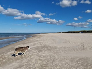 Casa de vacaciones Aalbæk  24