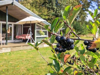 Vakantiehuis Lynderup  17