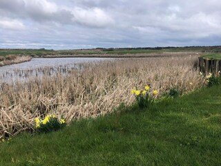 Ferienhaus Søndervig  17