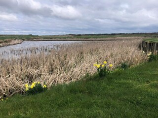 Ferienhaus Søndervig  27