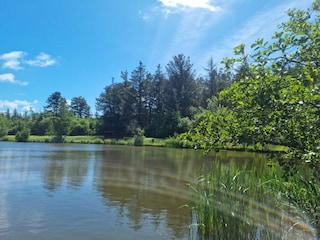 Ferienhaus Løkken  31