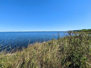 Casa per le vacanze Fjand  31