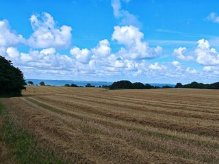 Ferienhaus Vordingborg  12