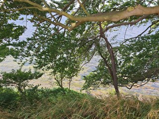 Maison de vacances Vordingborg  15