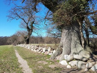 Casa per le vacanze Vordingborg  11