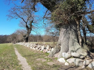 Vakantiehuis Vordingborg  16