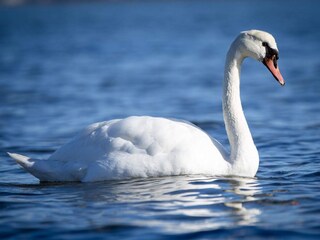 Casa de vacaciones Sjølund  22