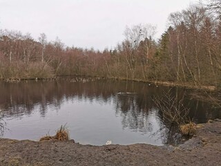 Vakantiehuis Aalbæk  27