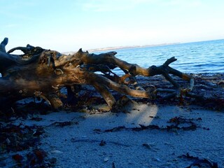 Ferienhaus Sønderballe  11