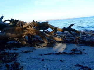 Ferienhaus Sønderballe  7