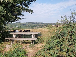 Vakantiehuis Sønderballe  13