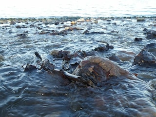 Ferienhaus Sønderballe  32