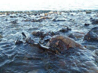 Maison de vacances Sønderballe  26