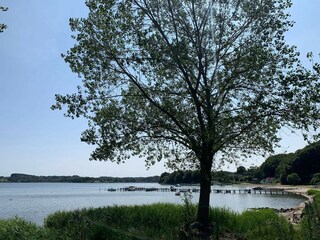 Ferienhaus Sønderballe  28