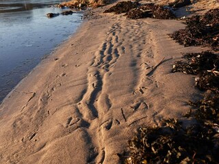 Casa de vacaciones Sønderballe  29