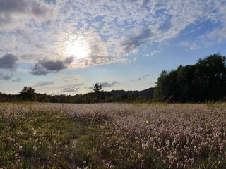 Holiday house Sønderballe  38