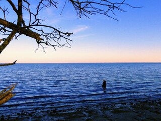 Holiday house Sønderballe  10