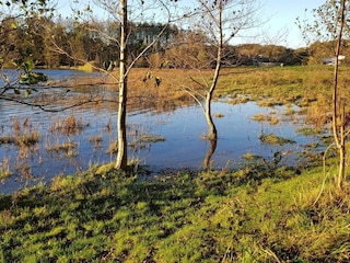 Ferienhaus Sønderballe  26