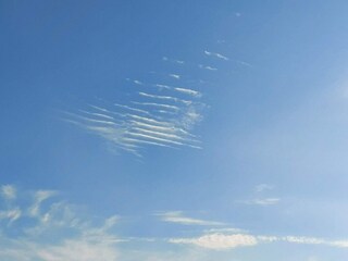 Ferienhaus Sønderballe  14