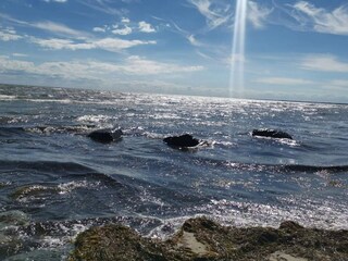 Maison de vacances Marielyst  36