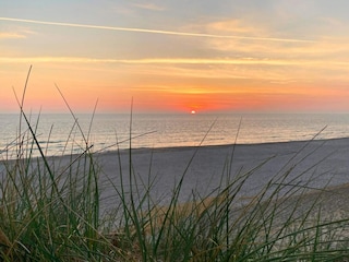 Vakantiehuis Søndervig  21