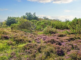 Casa de vacaciones Søndervig  19