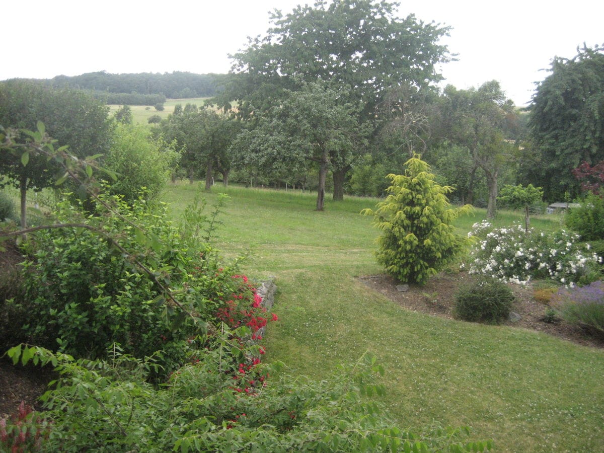 Blick von der Terrasse auf Obstwiesen