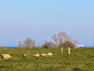 Casa de vacaciones Spodsbjerg  32
