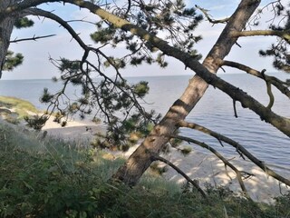 Maison de vacances Havneby  27