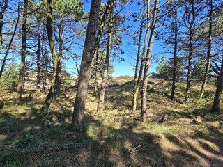 Maison de vacances Havneby  5