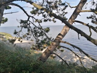 Casa per le vacanze Havneby  22