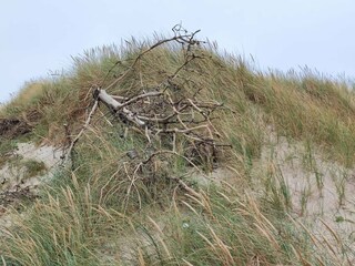 Vakantiehuis Harboøre  16