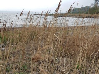 Maison de vacances Egernsund  11