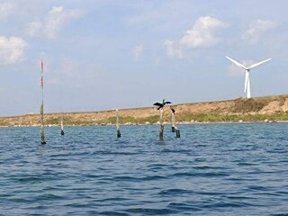 Holiday house Kegnæs  38