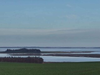 Holiday house Boddum  12