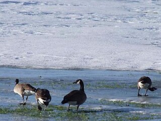 Ferienhaus Boddum  19