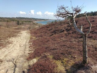 Vakantiehuis Boddum  21