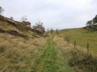 Holiday house Boddum  41