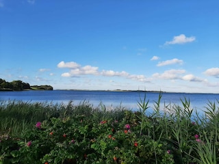 Ferienhaus Boddum  28