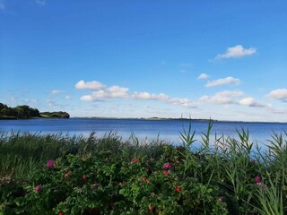 Vakantiehuis Boddum  28