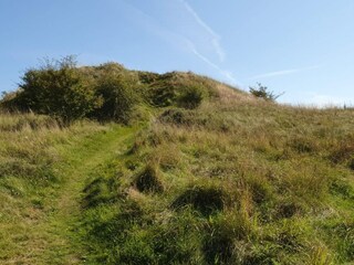 Casa de vacaciones Boddum  42